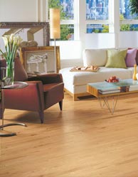 Armstrong Hardwood Floors special at Korkmaz, Provincial Plus Strip collection